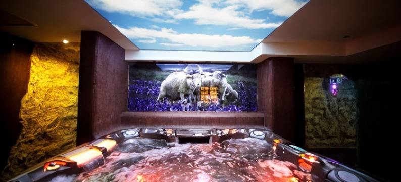 皮夫尼茨纳温泉和会议酒店(Hotel Piwniczna Spa&Conference)图片