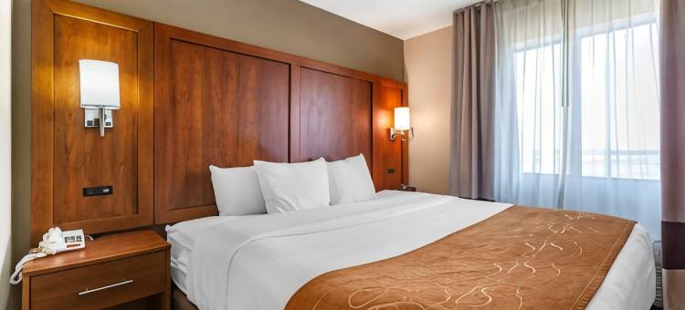 霍布斯舒适全套房酒店(Comfort Suites)图片