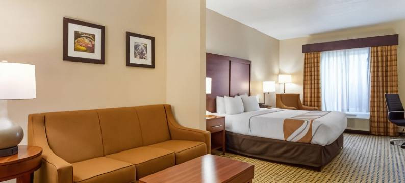 凯艺套房酒店-迪凯特亚特兰大东部(Quality Inn & Suites Decatur - Atlanta East)图片