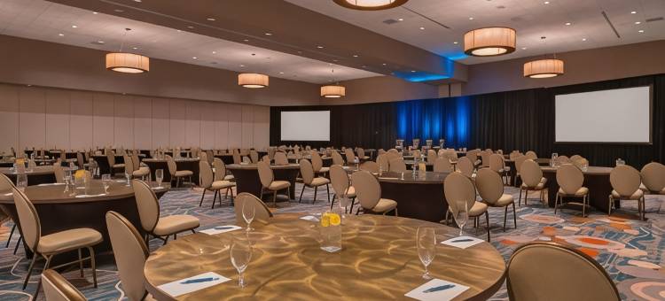 奥斯汀乔治敦喜来登酒店和会议中心(Sheraton Austin Georgetown Hotel & Conference Center)图片