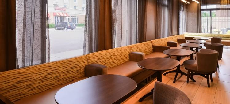 罗穆勒斯底特律都会机场万豪SpringHill酒店(SpringHill Suites Detroit Metro Airport Romulus)图片