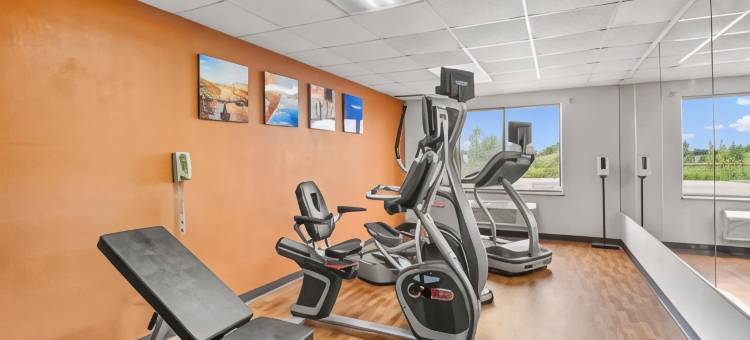 舒适酒店-大都会机场(Comfort Inn Metro Airport)图片