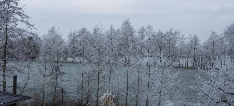 B&B 't Landschap图片