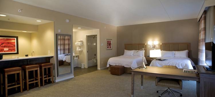 东南斯普林菲尔德欢朋酒店(Hampton Inn Springfield Southeast)图片