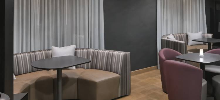 夏洛特马修斯万豪万怡酒店(Courtyard Charlotte Matthews)图片