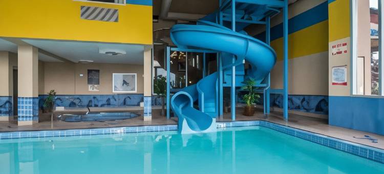 舒适套房酒店南机场店(Comfort Inn & Suites Airport South)图片