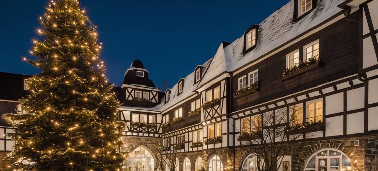 戴曼酒店(Hotel Deimann)图片