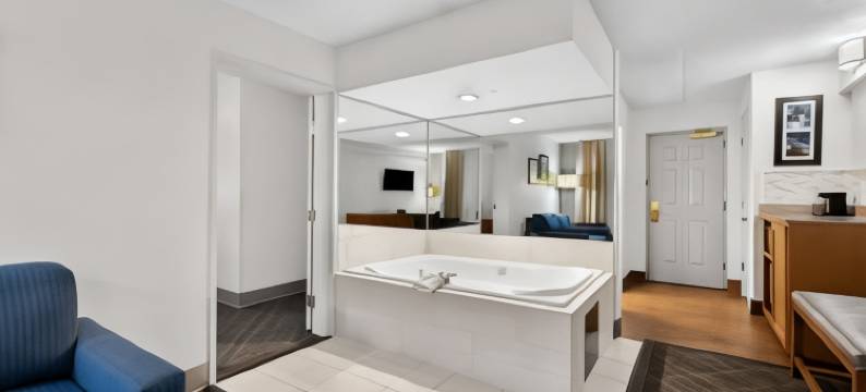 舒适酒店及套房纳什维尔 靠近Tanger Outlets I-24 安提阿克(Comfort Inn & Suites Nashville Near Tanger Outlets I-24 Antioch)图片