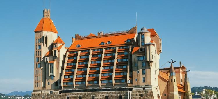 川久酒店(Hotel Kawakyu)图片
