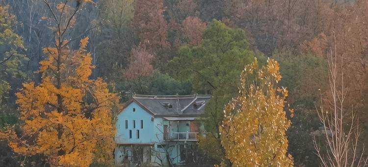 藏于精舍图片
