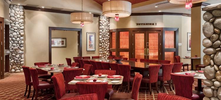 夏洛特康柯德高尔夫度假村及水疗中心希尔顿安泊酒店(Embassy Suites by Hilton Charlotte Concord Golf Resort & Spa)图片