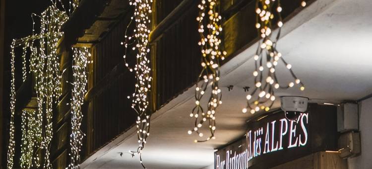 欧派斯酒店(Hotel des Alpes)图片