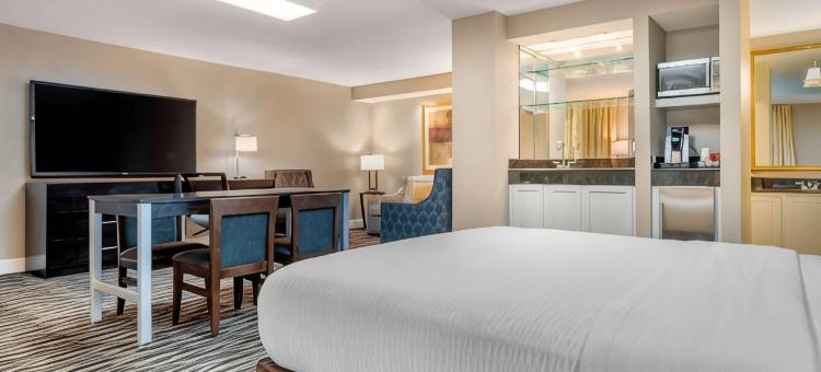 冈萨雷斯会议中心克拉丽奥酒店(Clarion Inn Conference Center)图片