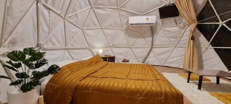 SB 旅馆(SB Inn)图片