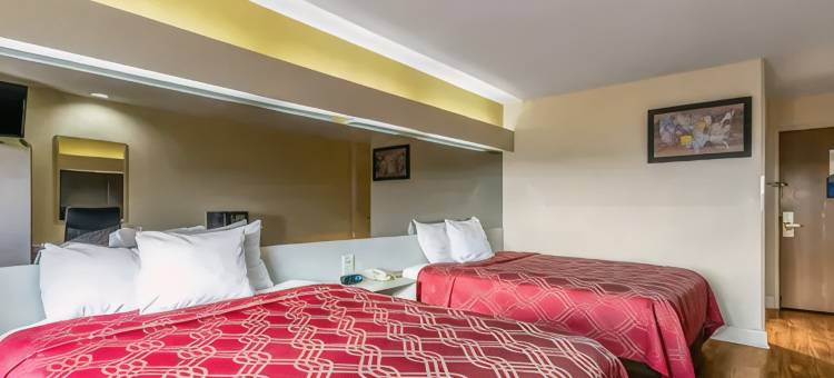 伊康套房旅馆(Econo Lodge Inn & Suites Evansville)图片