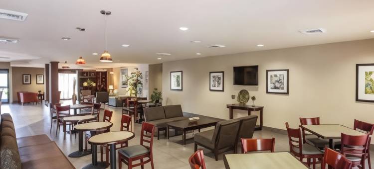 舒适套房酒店-惠特塞特格林斯博罗东(Comfort Suites Whitsett - Greensboro East)图片