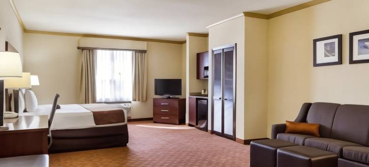 克利尔莱克舒适套房酒店-近NASA(Comfort Suites Near NASA - Clear Lake)图片