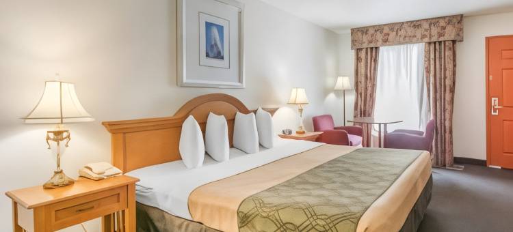 机场-坦帕RJ体育馆伊克诺旅馆(Econo Lodge Airport - RJ Stadium)图片