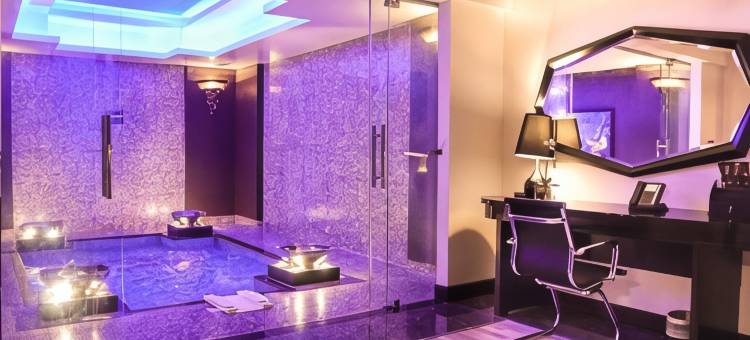 北欧宫殿及水疗酒店(Nordic Palace and Spa)图片