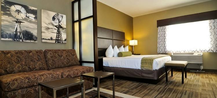 巡夜人贝斯特韦斯特优质套房酒店(Best Western Plus Night Watchman Inn  Suites)图片