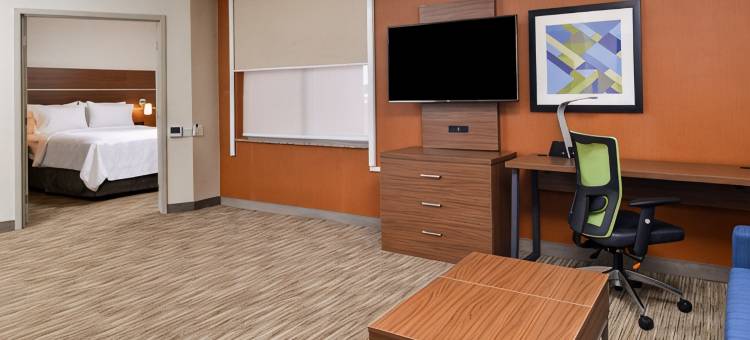 布法罗市中心智选假日套房酒店(Holiday Inn Express & Suites BUFFALO DOWNTOWN - MEDICAL CTR by IHG)图片