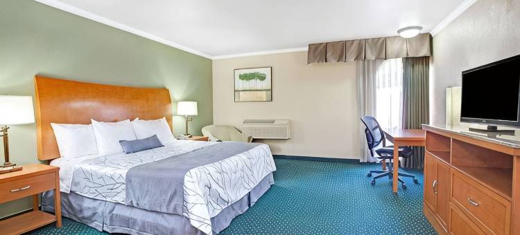 圣何塞戴斯酒店及会议中心(Days Inn by Wyndham San Jose)图片