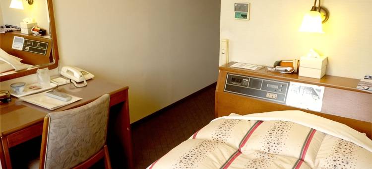 田原城市经济型酒店(Tahara City Hotel)图片