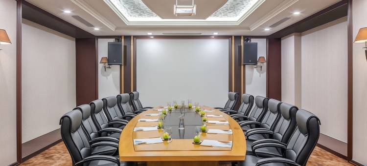 岘港美利亚珍珠河滨酒店(Melia Vinpearl Danang Riverfront)图片