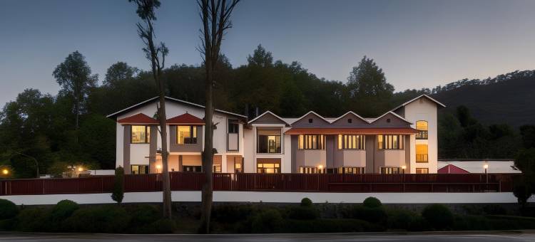 银树旅馆(Silvertree Inn)图片