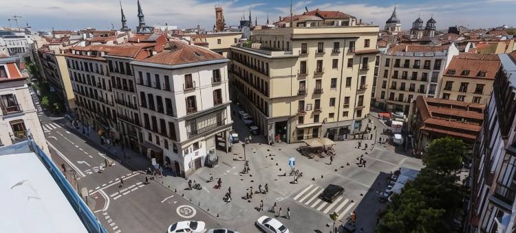 珀蒂宫广场市长酒店(Petit Palace Plaza Mayor)图片