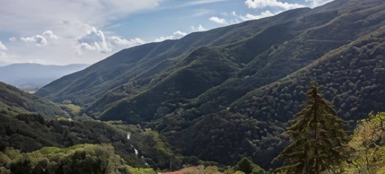 蒙特赛拉特青年旅舍(Hostal Montserrat)图片