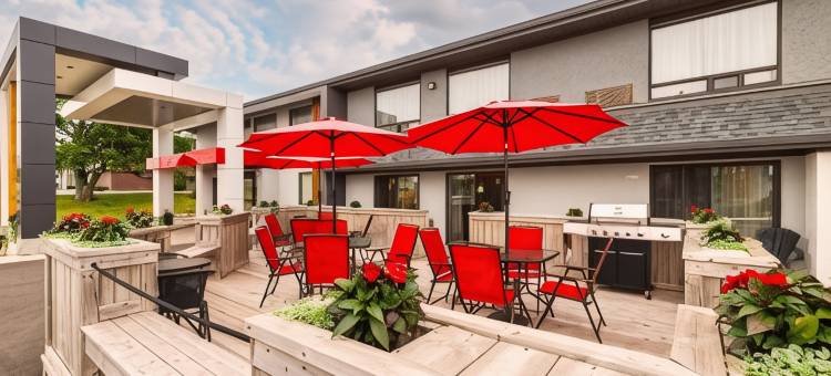 舒适酒店(Comfort Inn)图片