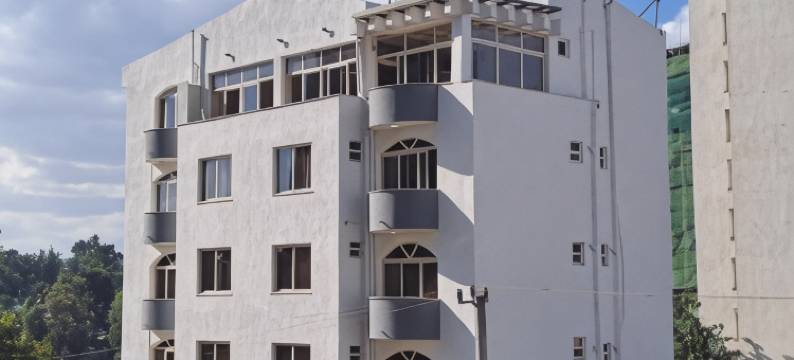 亚的斯家乡酒店(Home Town Addis Hotel)图片