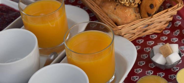 马斯沙瓦吉昂酒店(Hôtel Mas le Sauvageon)图片