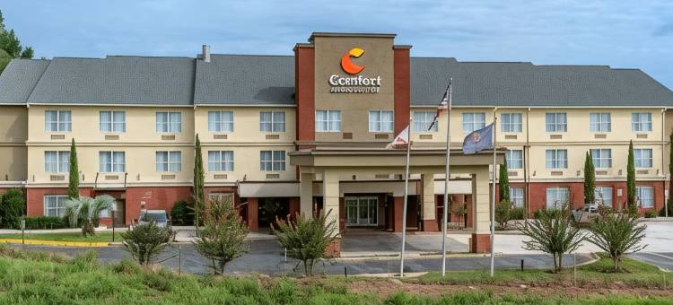 米尔布鲁克-普拉特维尔舒适套房酒店(Comfort Inn & Suites Millbrook-Prattville)图片