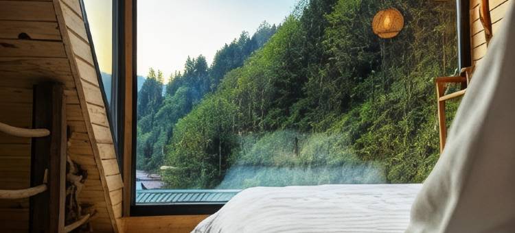 埃德尔伊利赞酒店(Ayder Elizan Dağ Evleri)图片