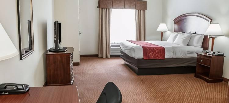 舒适套房酒店-近印第安纳波利斯机场(Comfort Suites Near Indianapolis Airport)图片