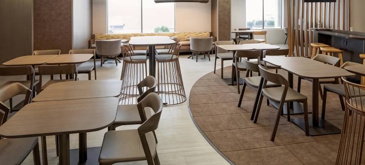 阿德莫尔万豪SpringHill Suites 酒店(SpringHill Suites Ardmore)图片