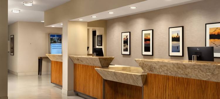 斯托克顿希尔顿酒店(Hilton Stockton)图片