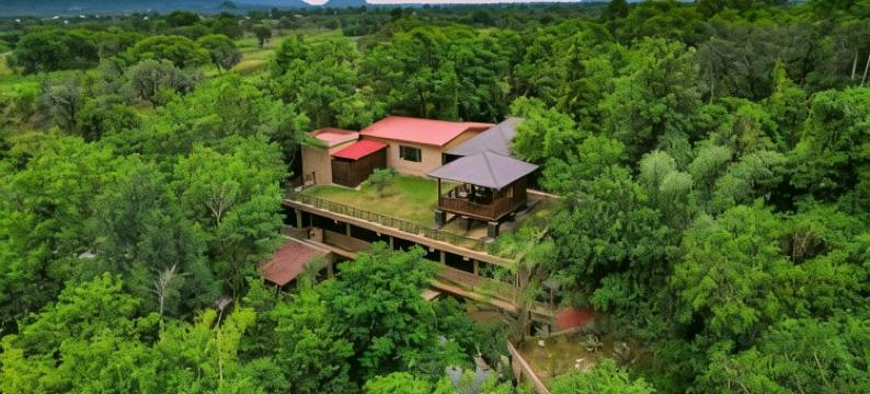 树屋度假村(The Tree House Resort)图片
