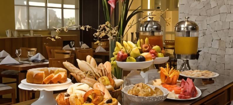 阿拉卡茄兹力酒店(Celi Hotel Aracaju)图片