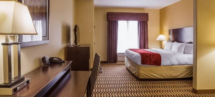 康福特套房辛普森维尔 - 格林维尔(Comfort Suites Simpsonville - Greenville)图片