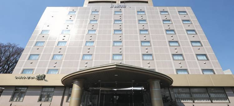 米泽波尼克斯酒店(Hotel Benex Yonezawa)图片