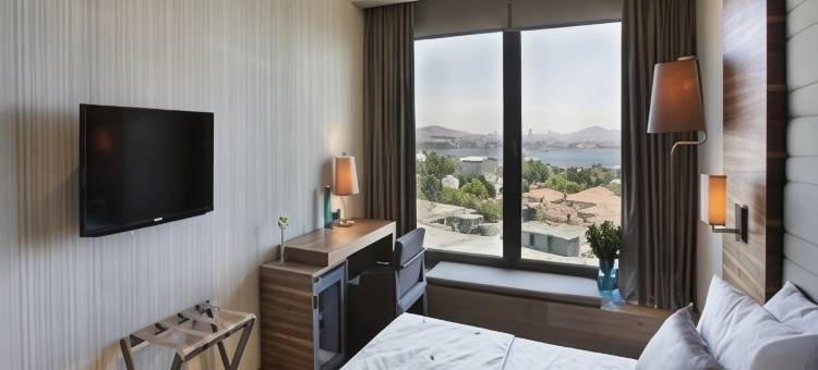 伊斯坦布尔阿卡迪亚蓝色酒店(Hotel Arcadia Blue Istanbul)图片