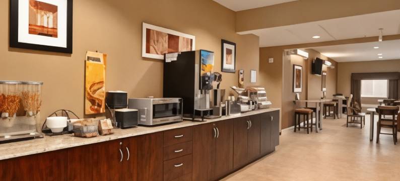 奥索卡温德姆麦客达套房酒店(Microtel Inn & Suites by Wyndham Ozark)图片