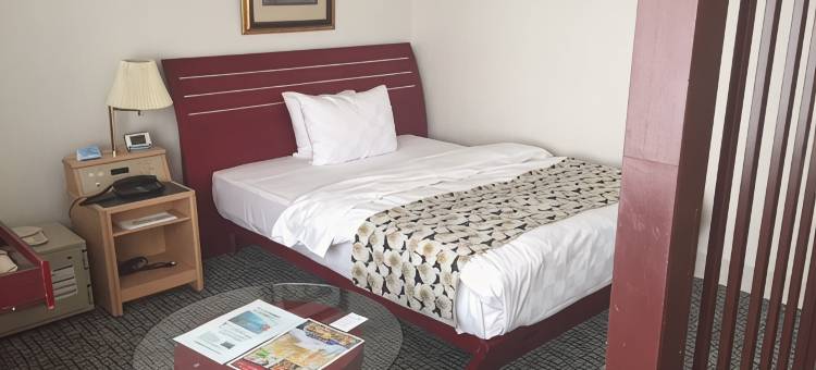 熊谷国王大使酒店(King Ambassador Hotel Kumagaya)图片