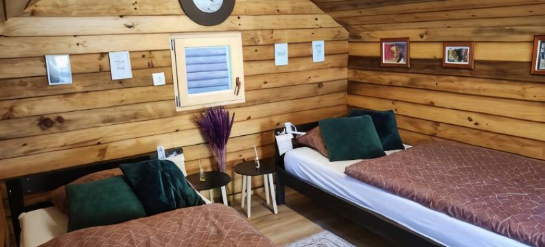 萨克斯旅馆(Sax Pub Hostel Ljubljana)图片