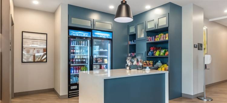 美茵斯坦套房酒店迈尔斯堡东 I-75(MainStay Suites Fort Myers East I-75)图片