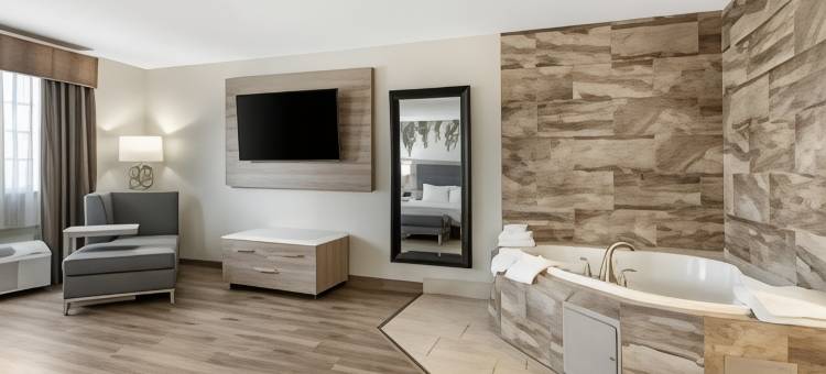 葡萄园贝斯特韦斯特优质酒店(Best Western Plus Vineyard Inn)图片