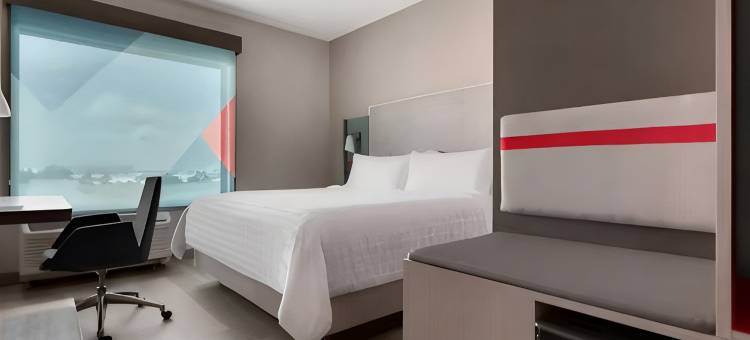 波士顿里维尔洛根机场安维德酒店(洲际酒店集团)(avid hotel BOSTON LOGAN AIRPORT - REVERE by IHG)图片